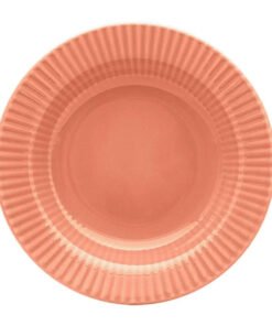 PLATO HONDO 22C CANELE SALMON BIONA